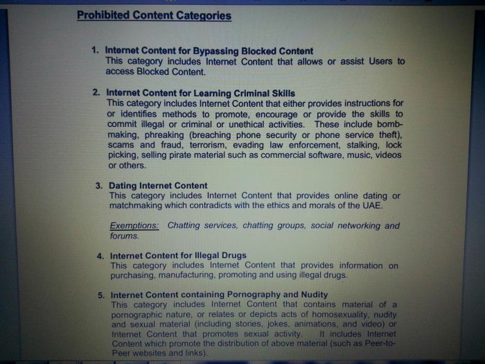 UAE internet regulations