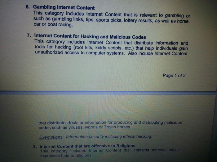 UAE internet regulations