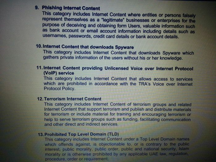 UAE internet regulations