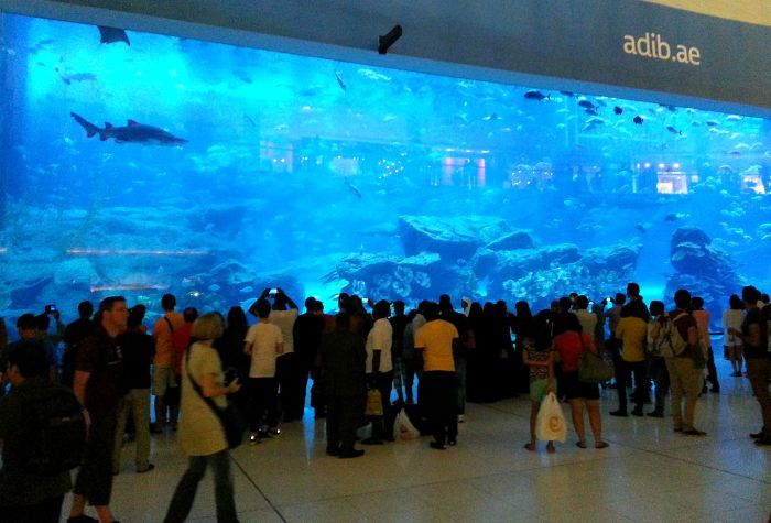 Dubai Mall aquarium