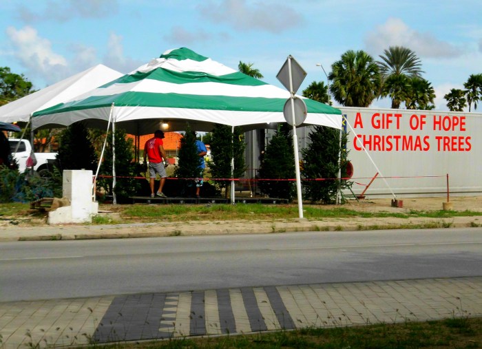 Christmas trees aruba