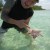 starfish point Grand Cayman island