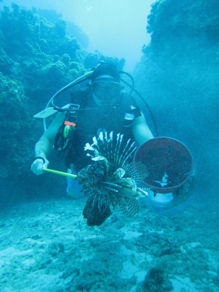 Lionfish hunting (photo by P. Andrew Och)