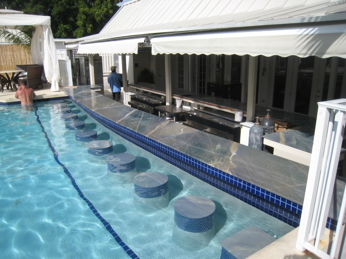 Royal Palms (photo by P. Andrew Och)