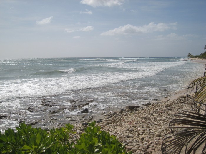 South Sound Beach (photo by P. Andrew Och)