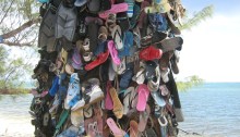 shoe tree grand cayman island