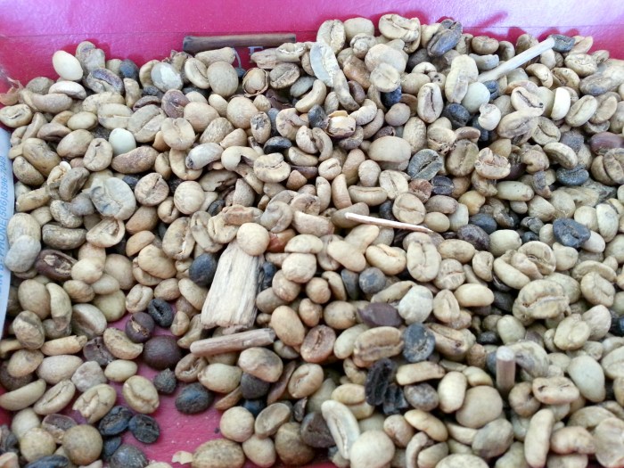 Costa Rican coffee beans