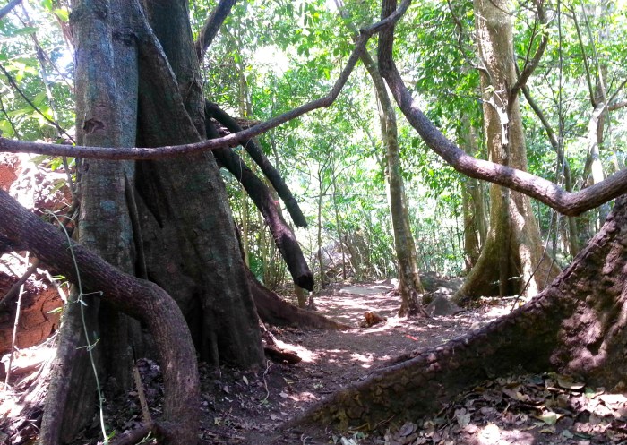 Rincon de la Vieja national park in Costa Rica