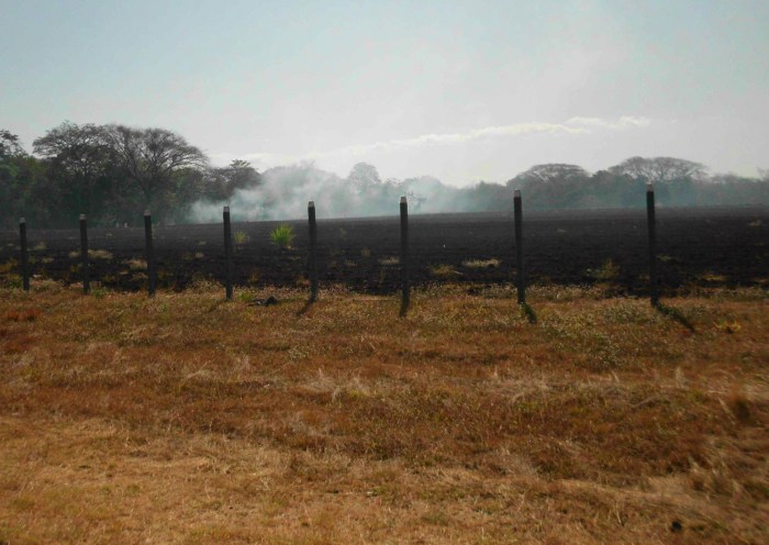 Costa Rica wildfire