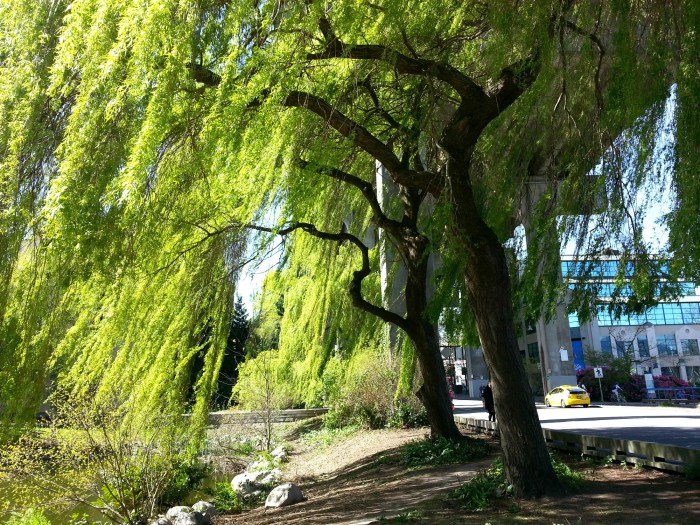 Granville Island entrance