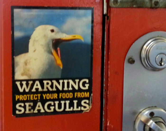 Seagulls sign at Granville Island
