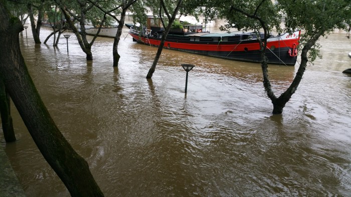 Seine River, Paris, flood, flooding, boat