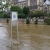 Seine River, Paris, flood, flooding, Notre Dame